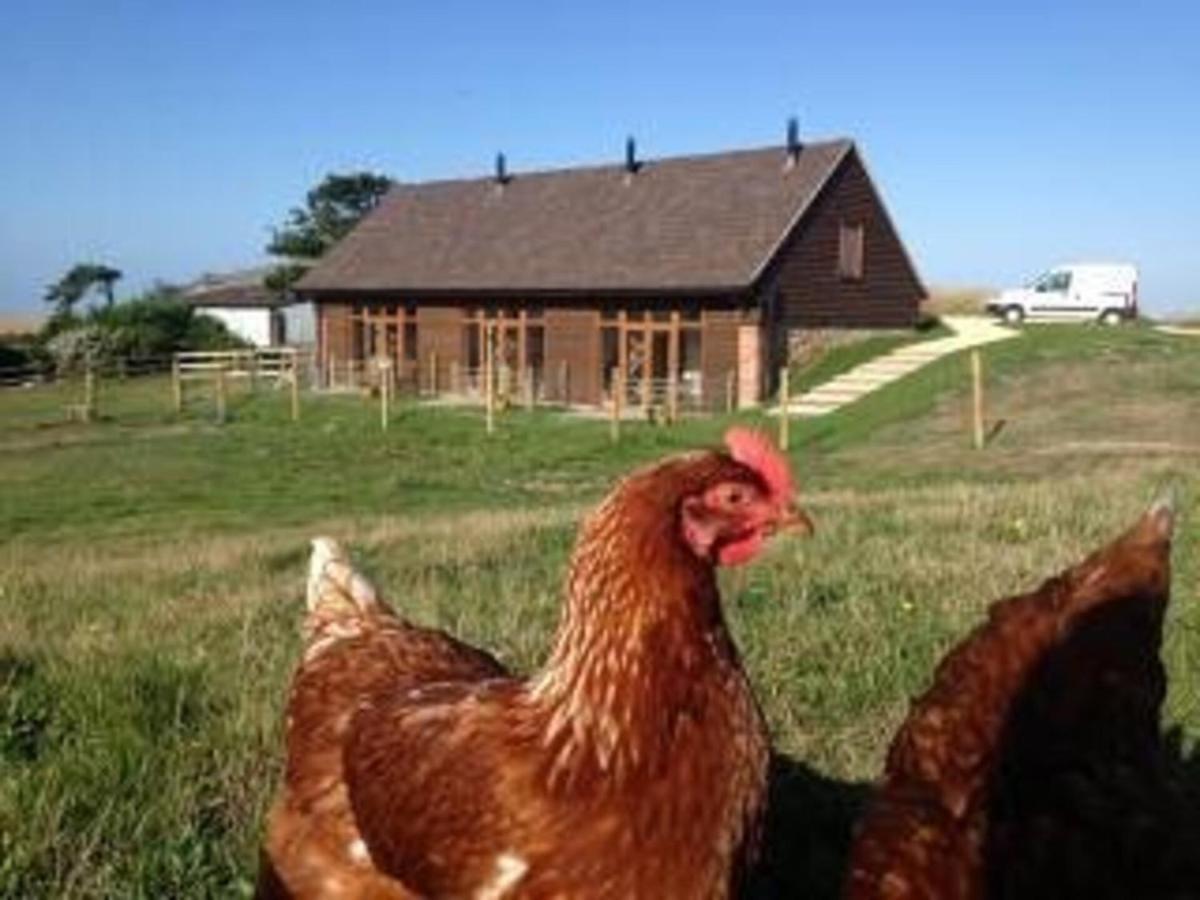 Bike Shed - Beautiful 1-Bed Cottage In Shorwell Exterior photo