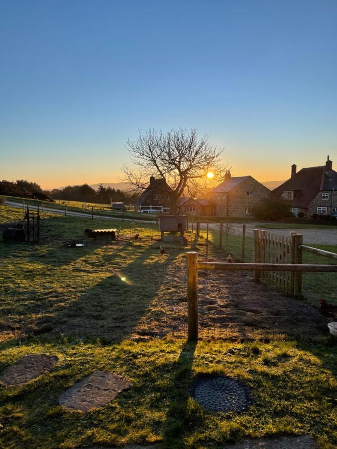 Bike Shed - Beautiful 1-Bed Cottage In Shorwell Exterior photo