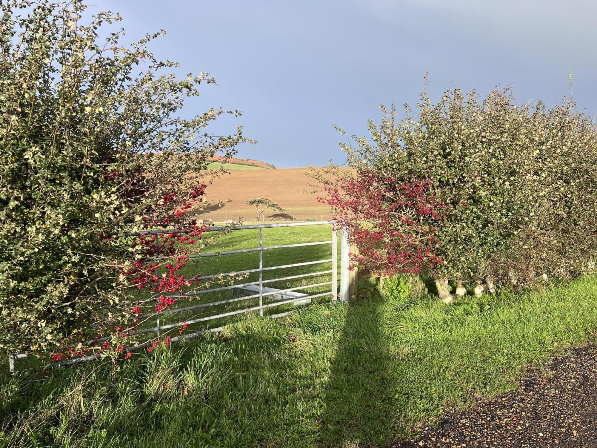 Bike Shed - Beautiful 1-Bed Cottage In Shorwell Exterior photo